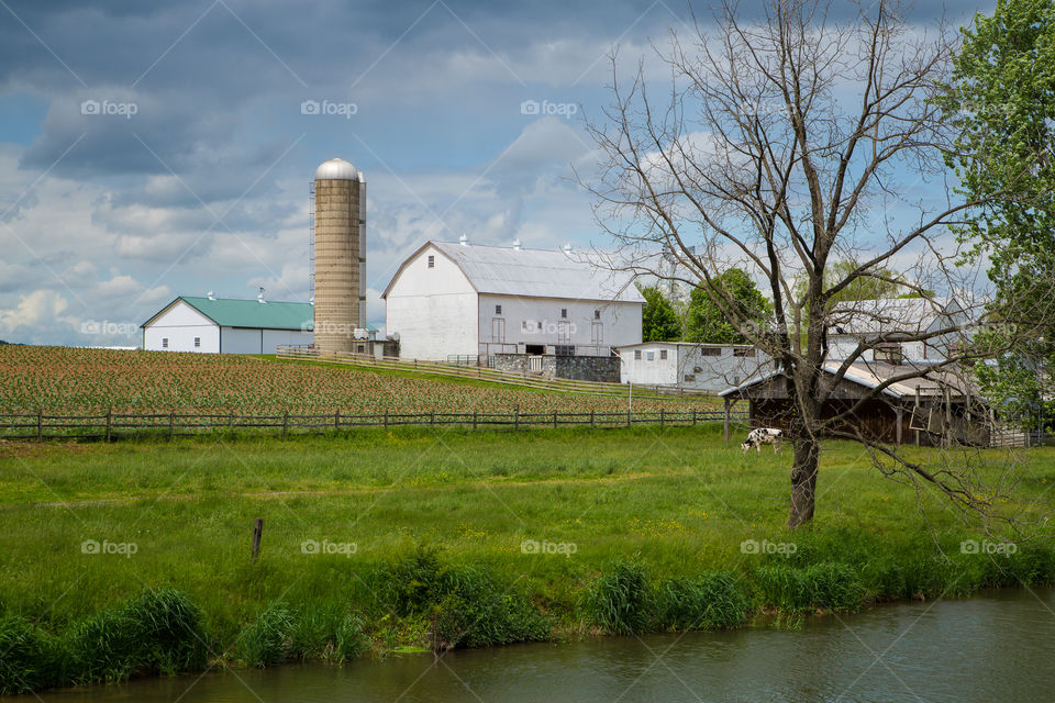 Farm Landscape