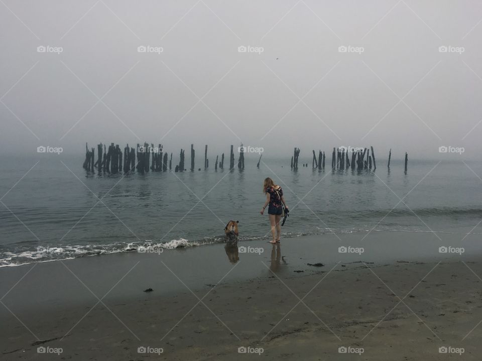 Foggy day on the beach. 