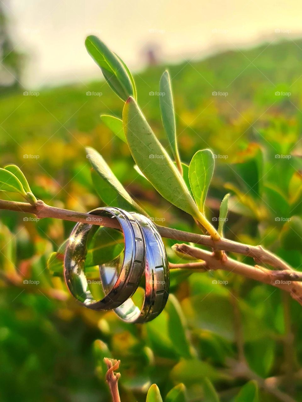 Happily ever after, it's not an fairy tale.. It's bonding ! It's  a choice !