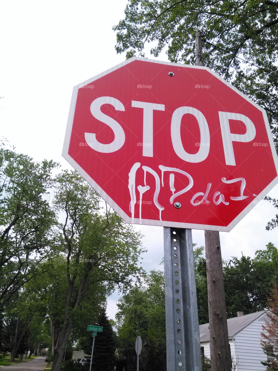 Ironic Graffiti. Taggers gone wild in suburban neighborhood.