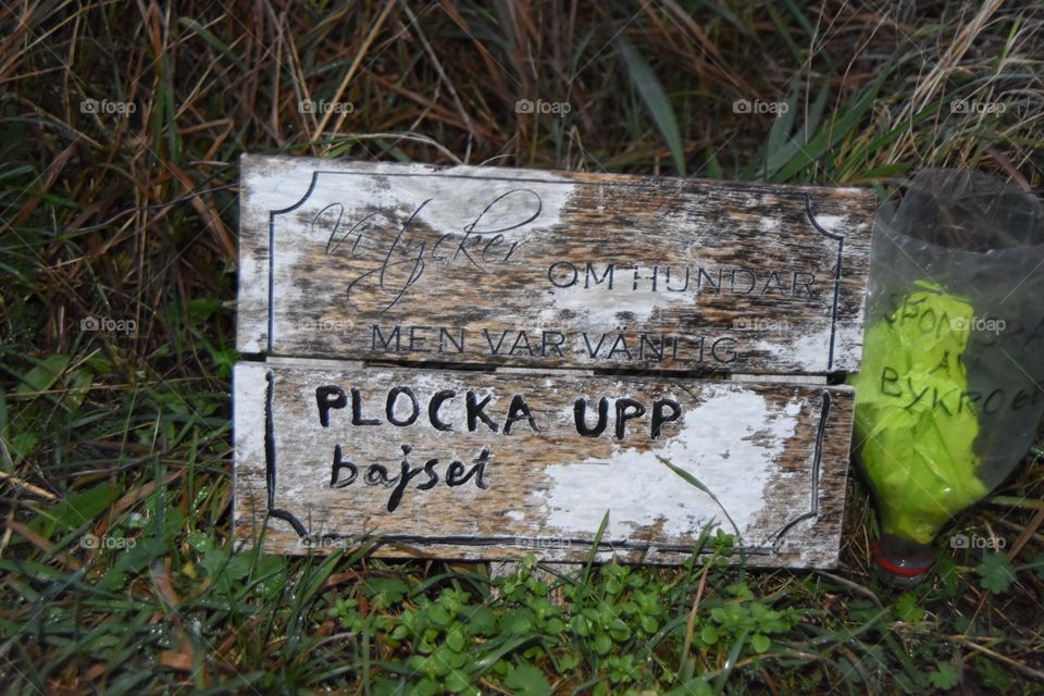 Nature, No Person, Grass, Old, Wood