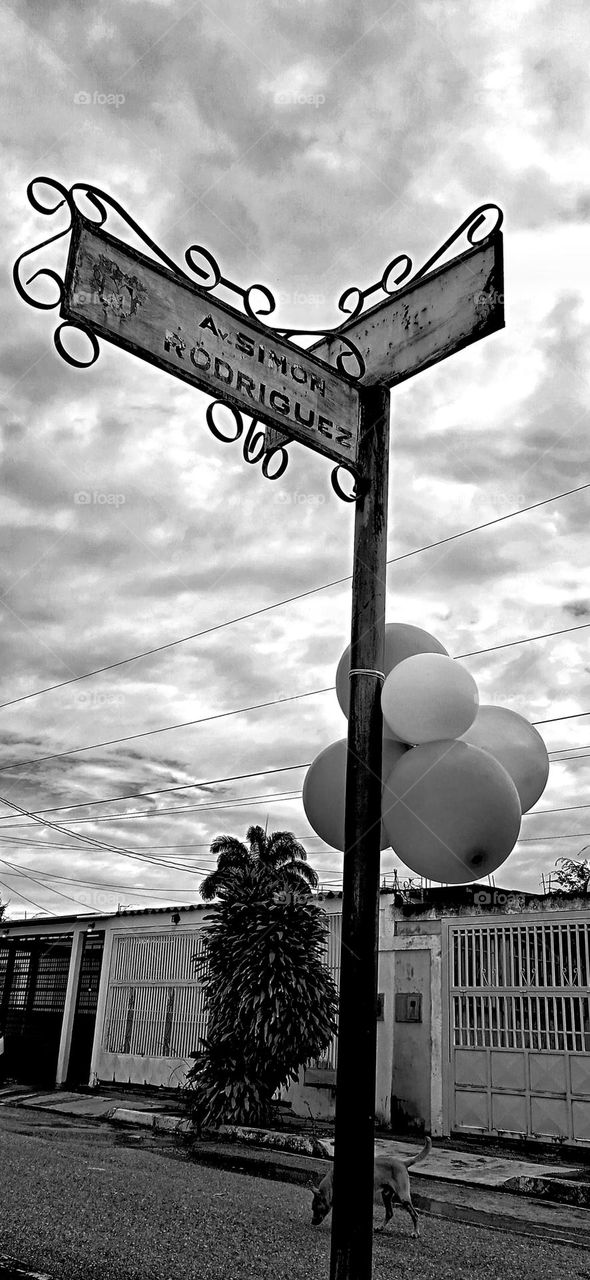 afternoon with balloons