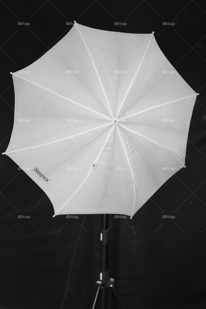 perfect black and white, studio light which brighter the every person light