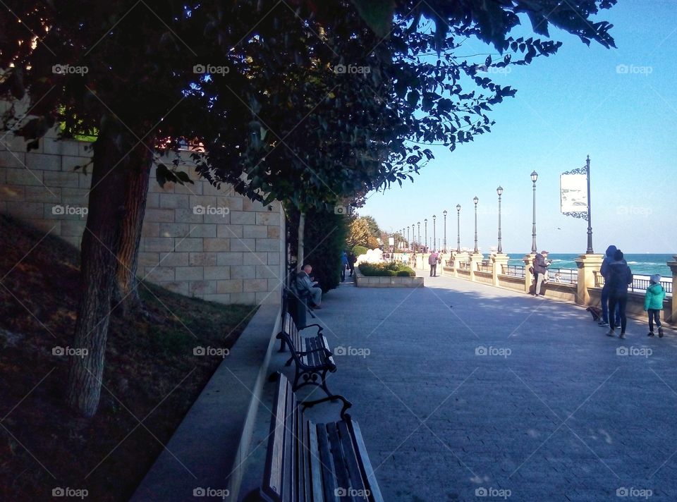 No Person, Travel, Tree, Road, Outdoors