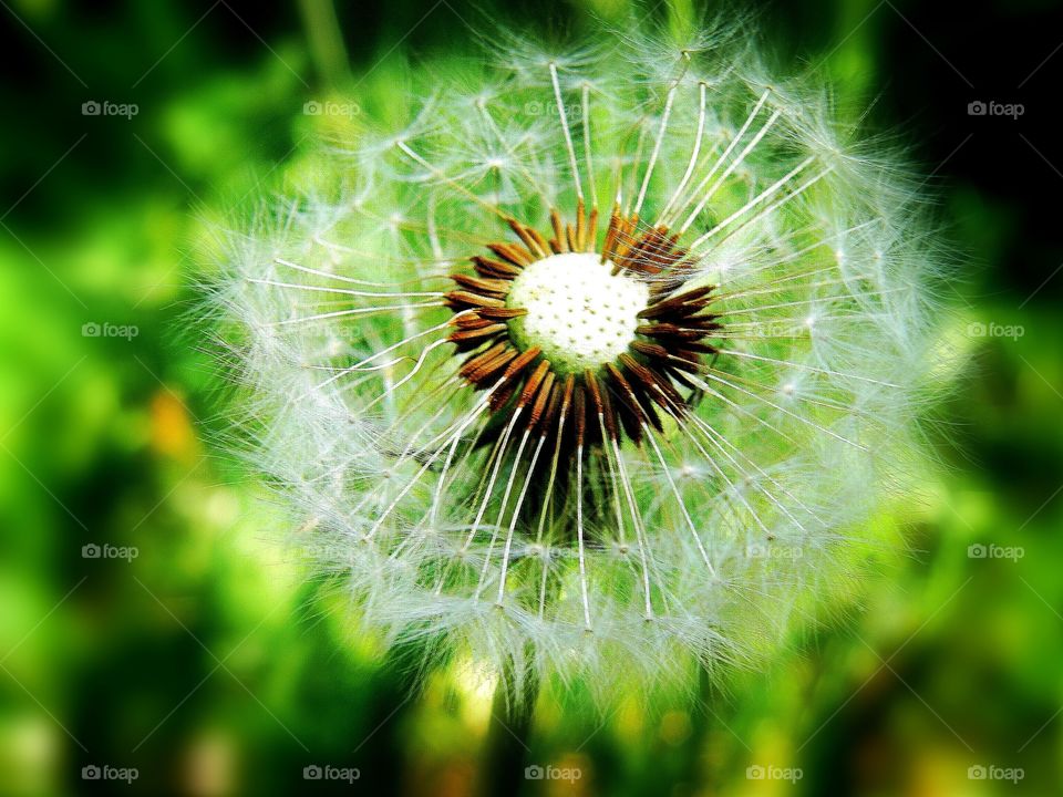 Life is still beautiful