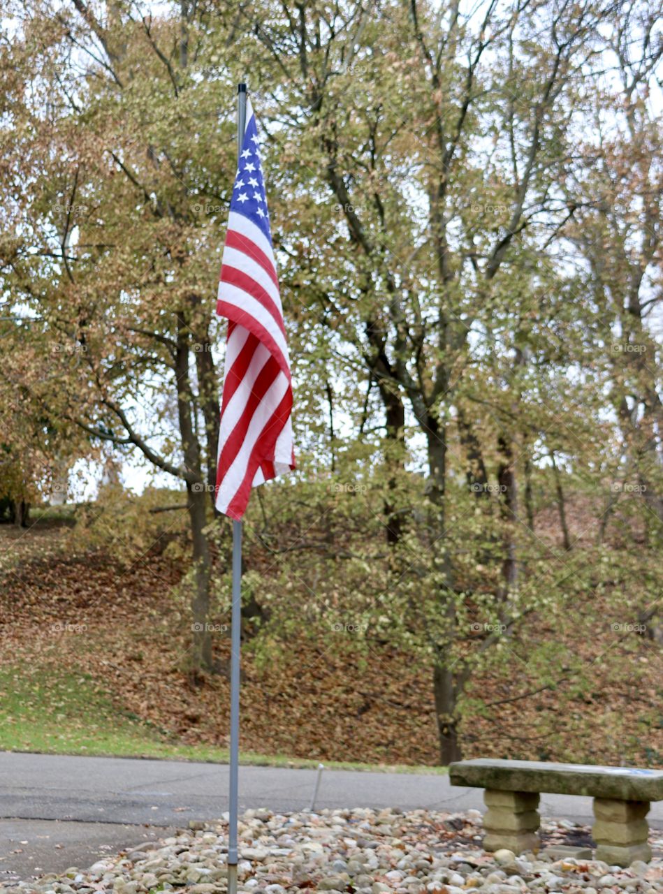 American Flag flying in an autumn setting 