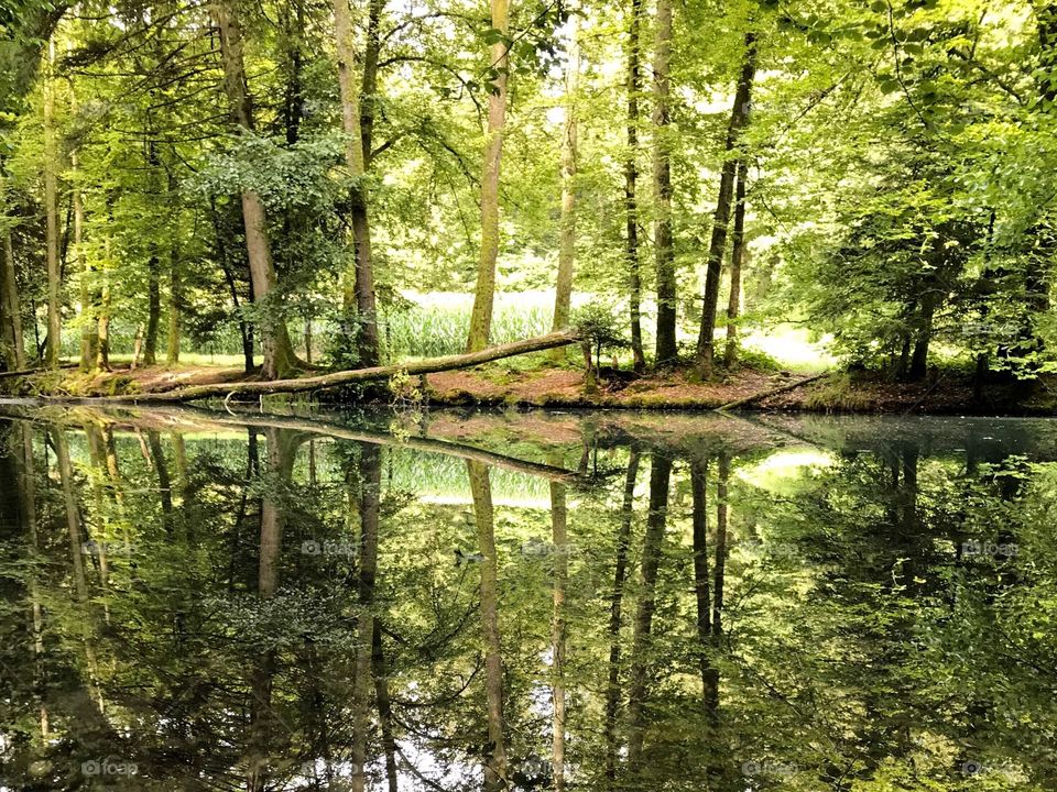 Steibachweiher 