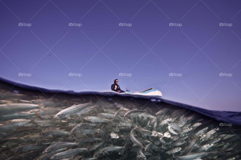 fish boat underwater zodiac by paulcowell