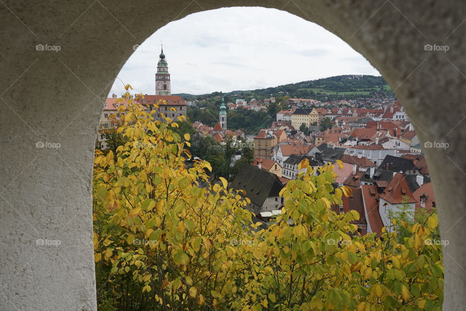 Glimpse of Autumnal colours through an arch window ....