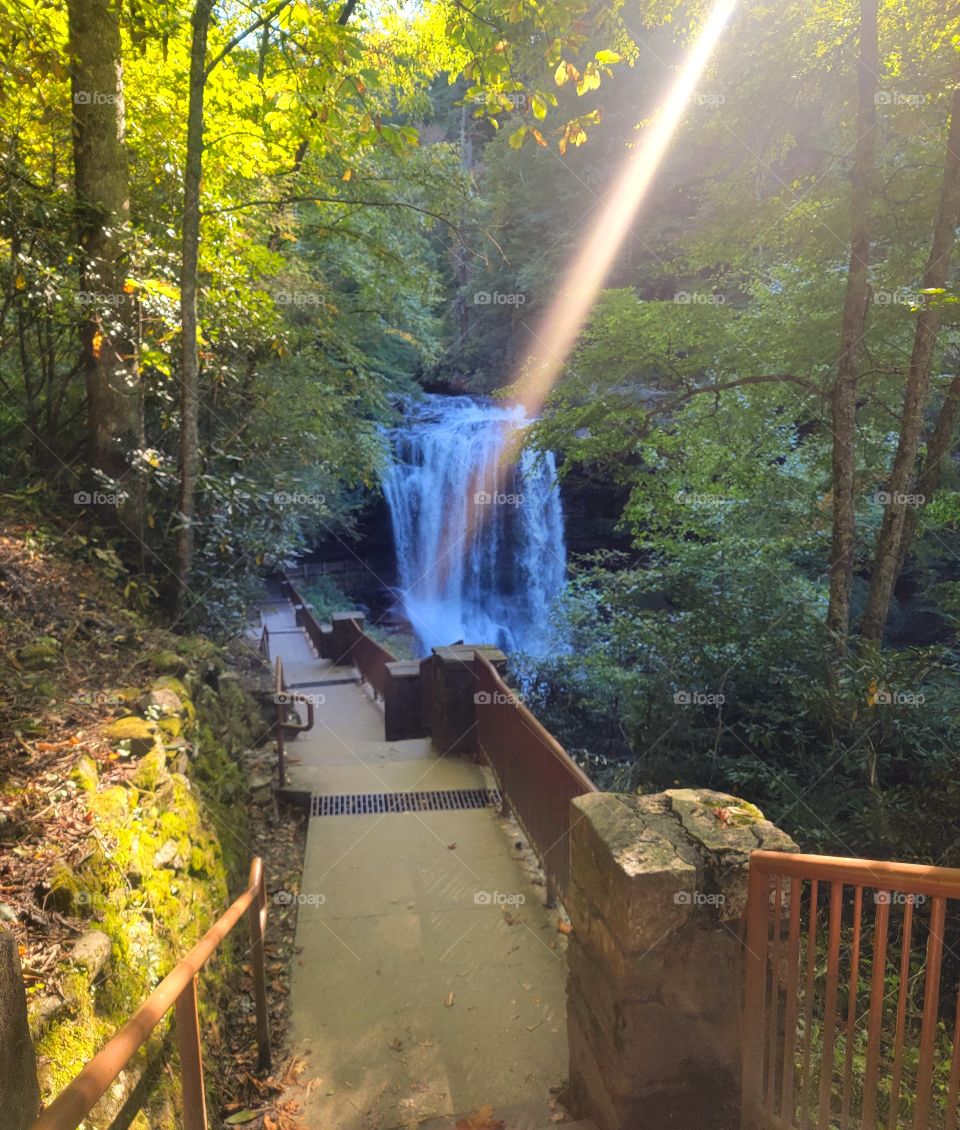 falls from top of stairs