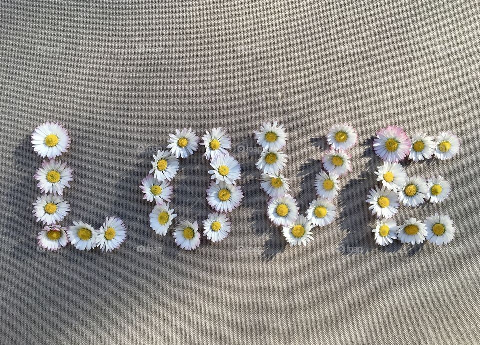 Spring daisies for a love message