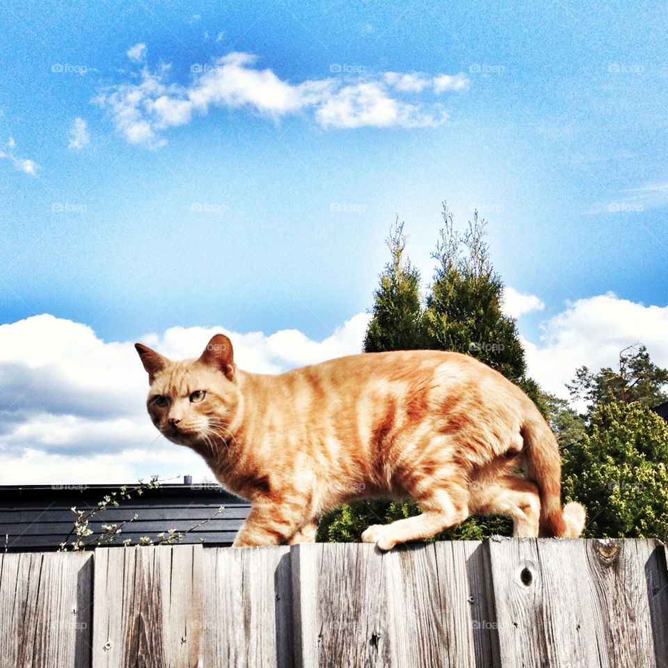 sky sweden blue red by piaktw