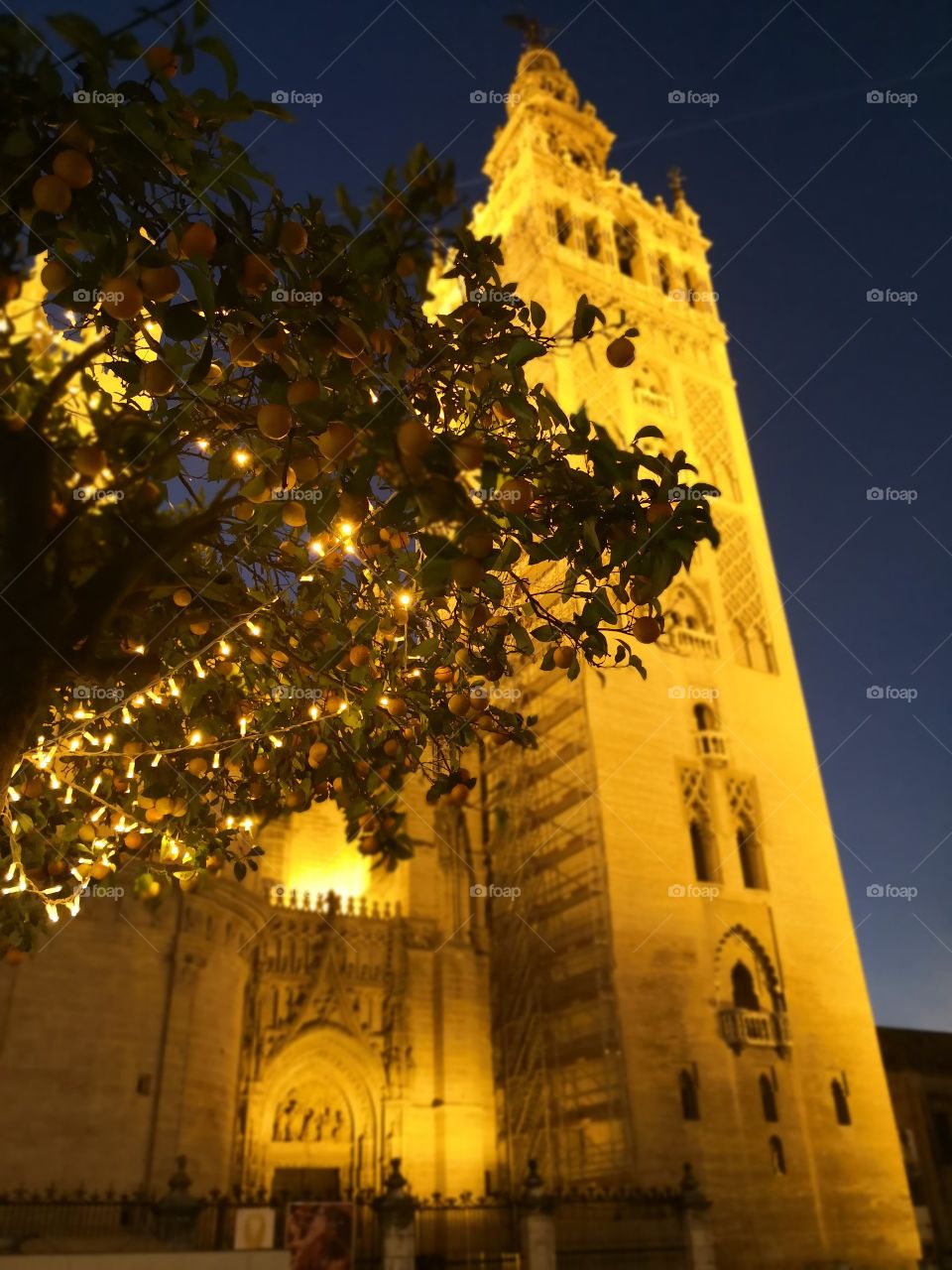 GIRALDA by night, Sevilla, Spain