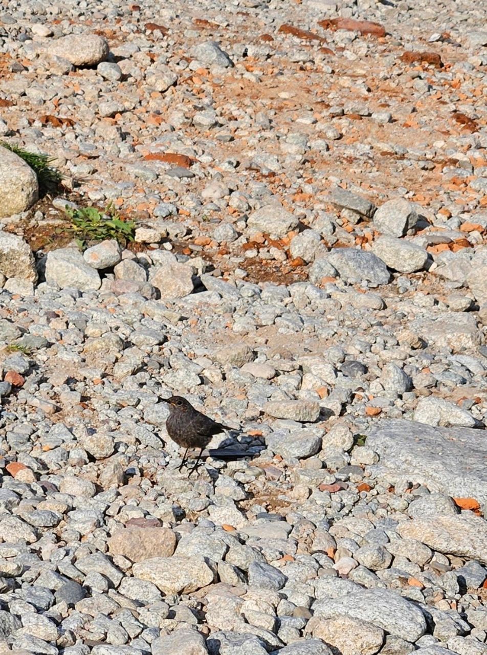 What are you looking at?