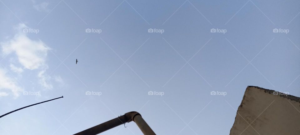 I will see my world  with my eyes I am on a peaceful flight.