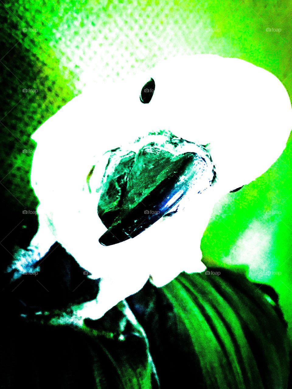 Moods of Lavie the Cockatoo 