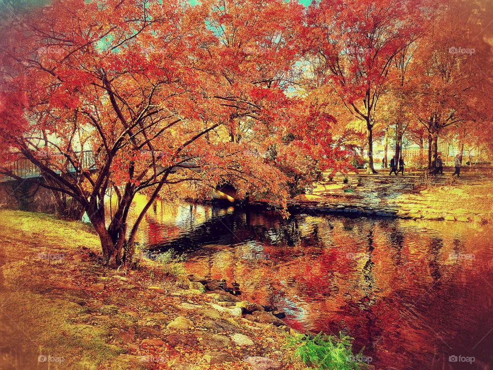 Boston’s Esplanade in the Afternoon 