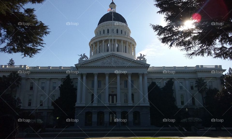 Morning at the California State Capital