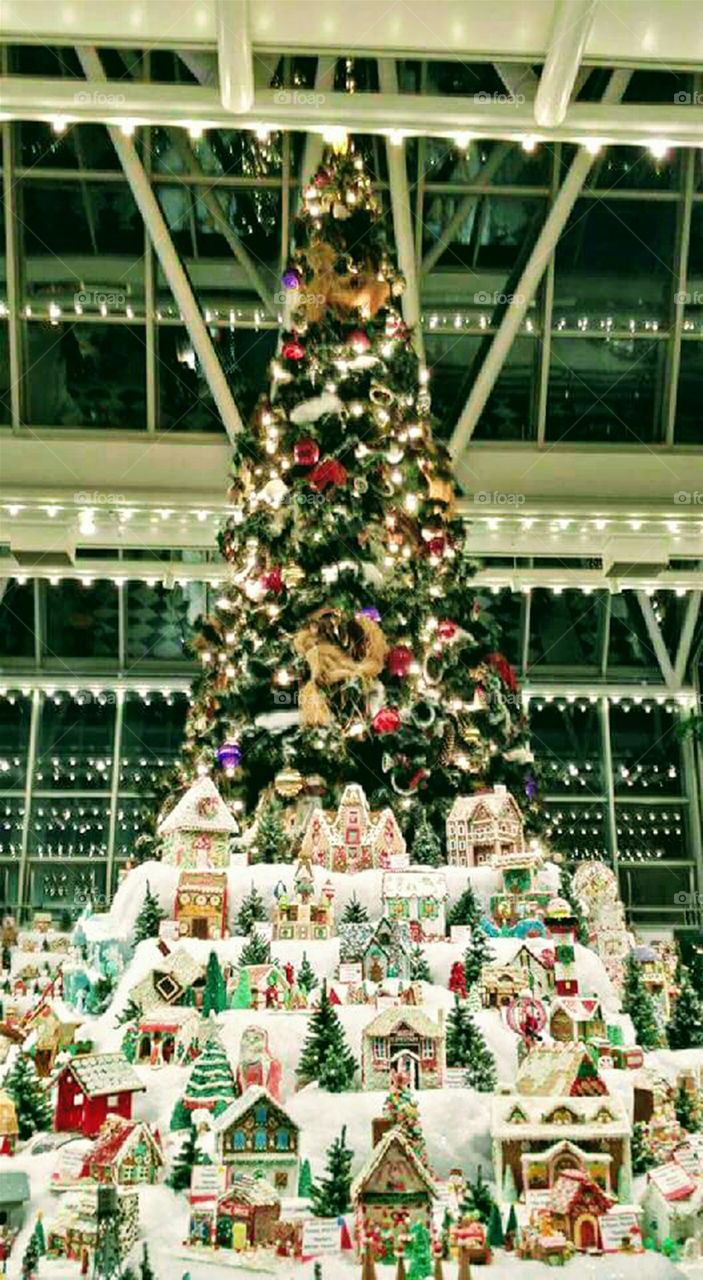christmas tree Pittsburgh