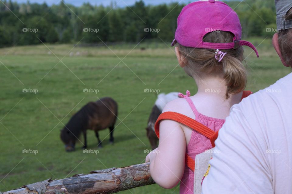 man feeding a horse