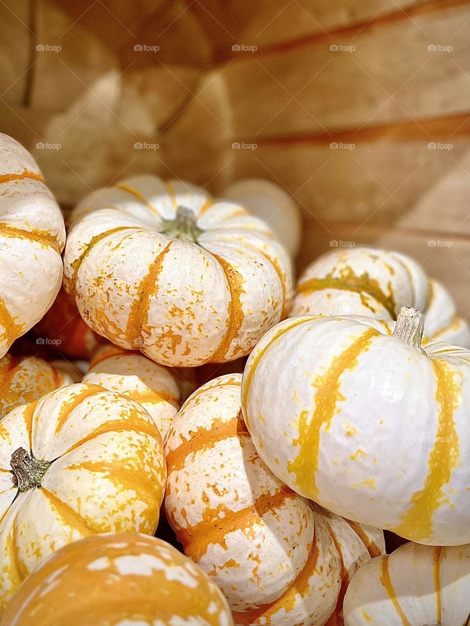 Tiger Striped Pumpkins