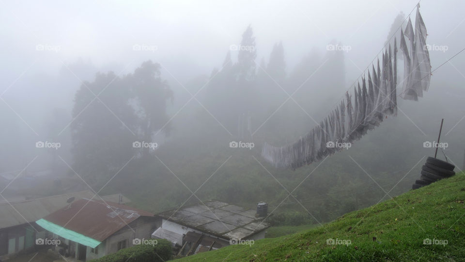 Foggy morning at Lava, Sikkim, India
