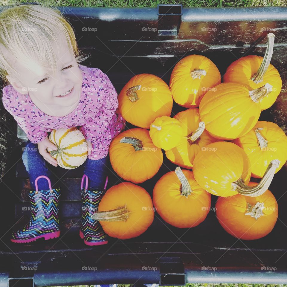 my pumpkin with pumpkins