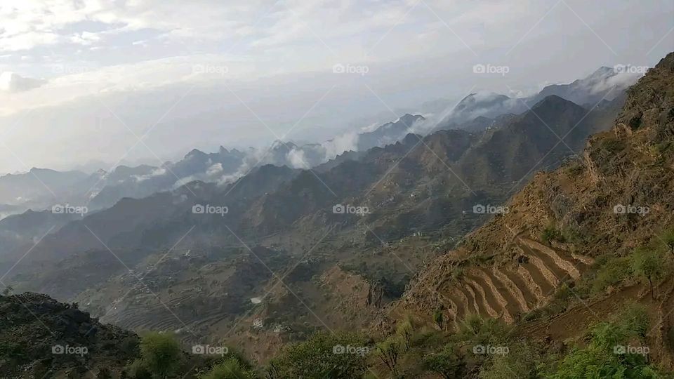 A very beautiful picture, and there is no better picture than it. There is no better picture of green herbs and colorful, red and white roses than it. Glory be to God, the natural and picturesque view, and there is no more