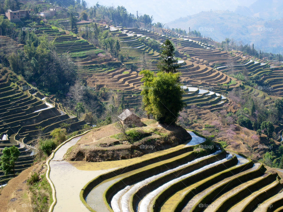 Travel, Cropland, No Person, Vineyard, Agriculture