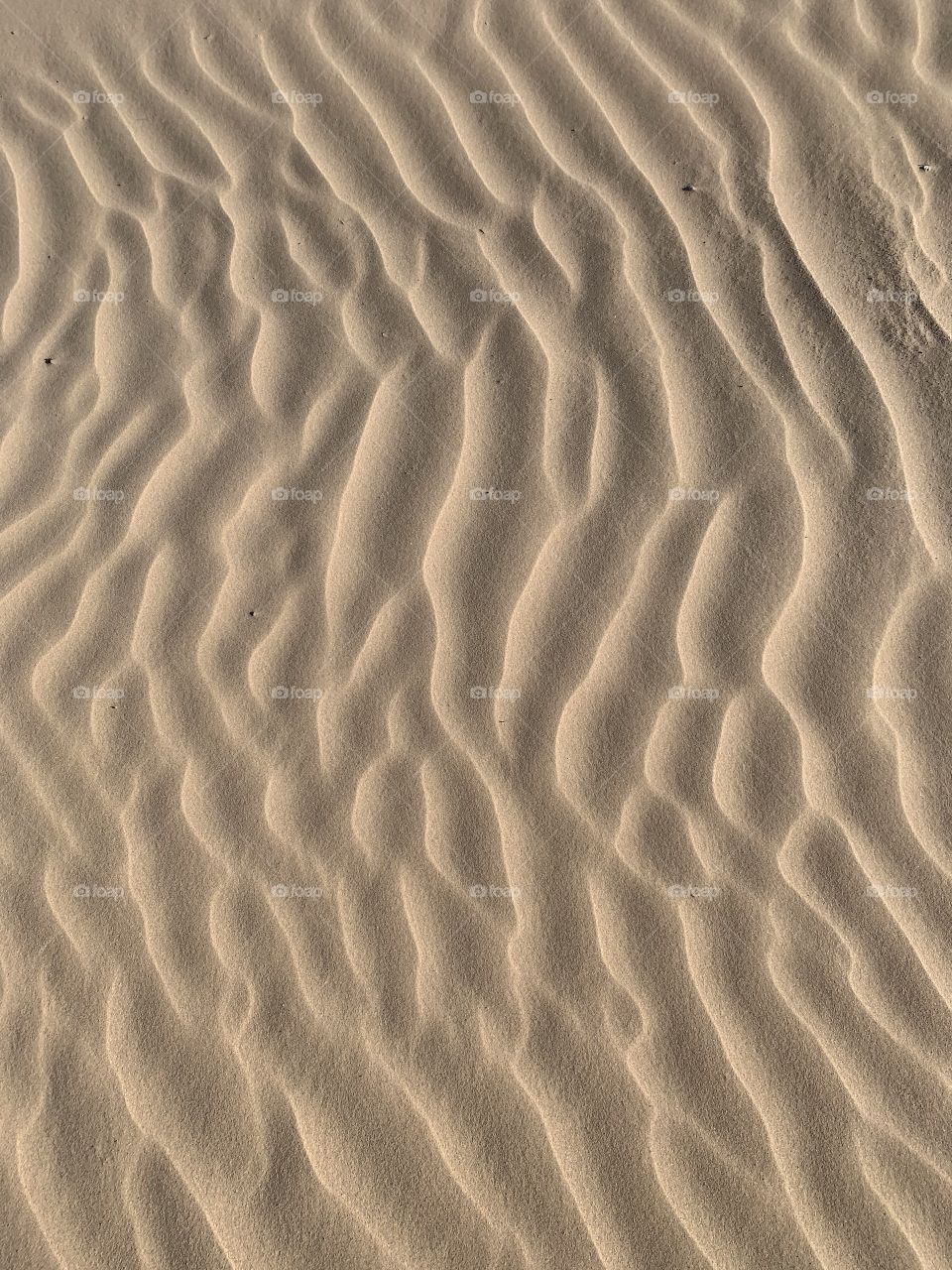 Desert ripples 