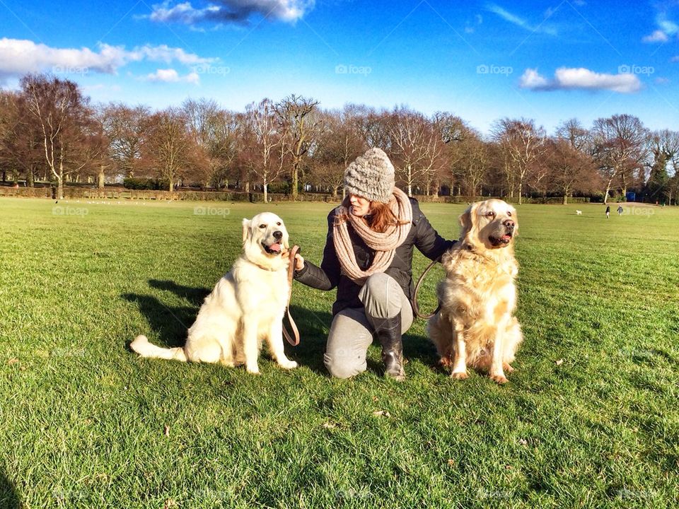 My golden fur family