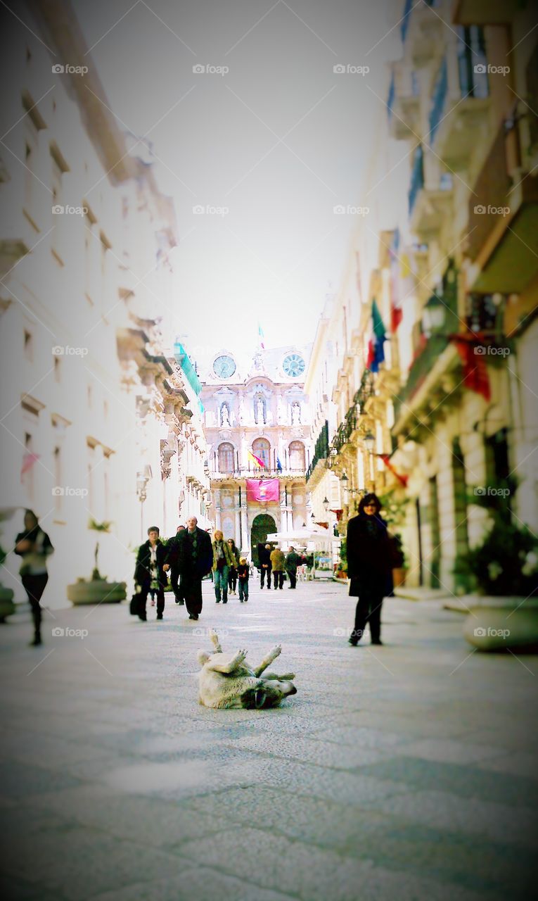 Dog rolling over on village street in Trapani, Sicily