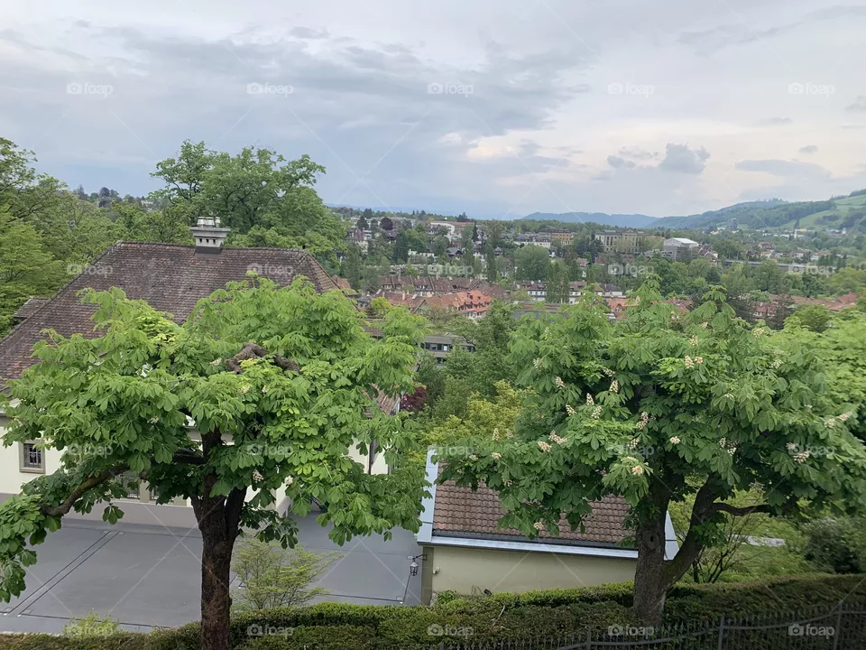 Switzerland 