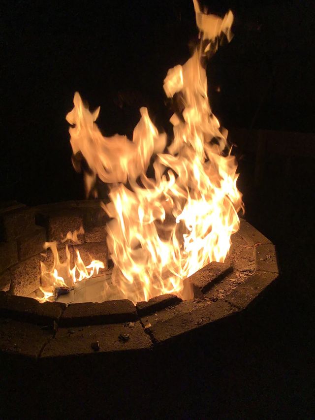 Backyard fire