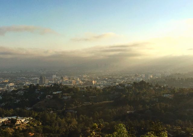 LA