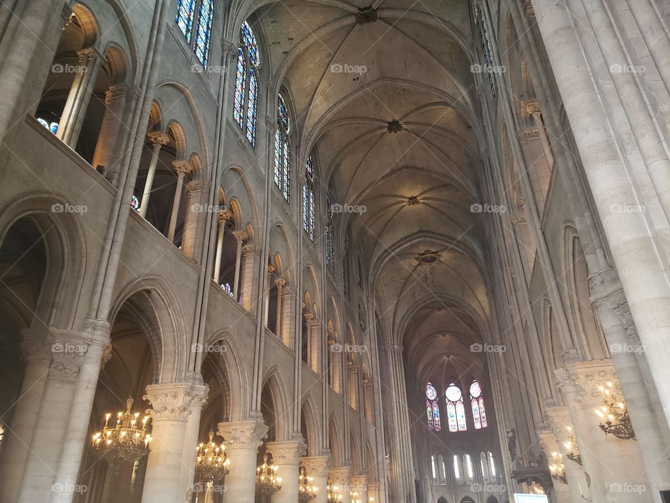 detalles de Notre Dame, techo y luces