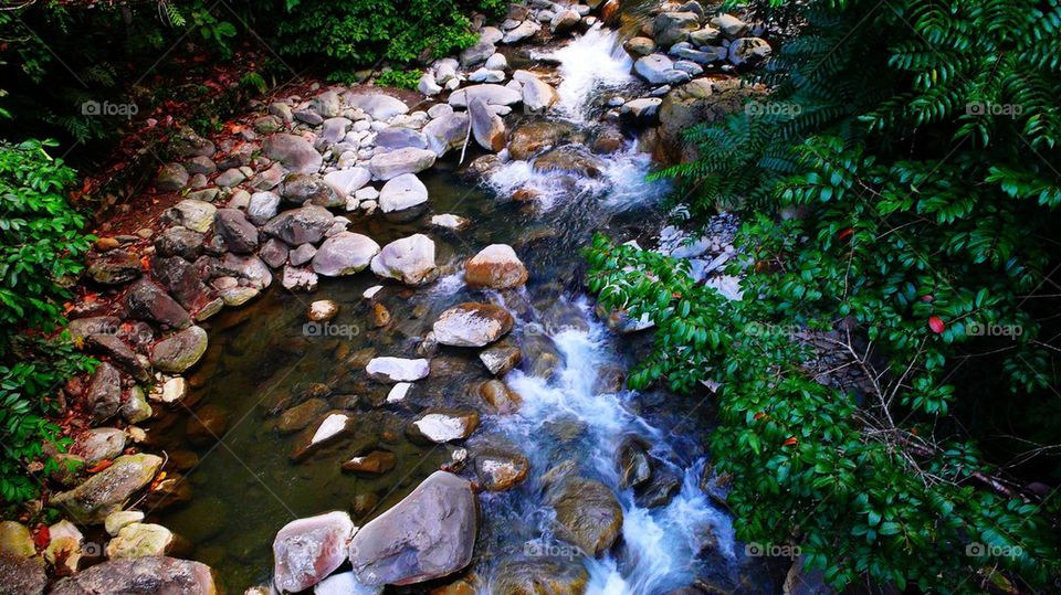 High angle view of river