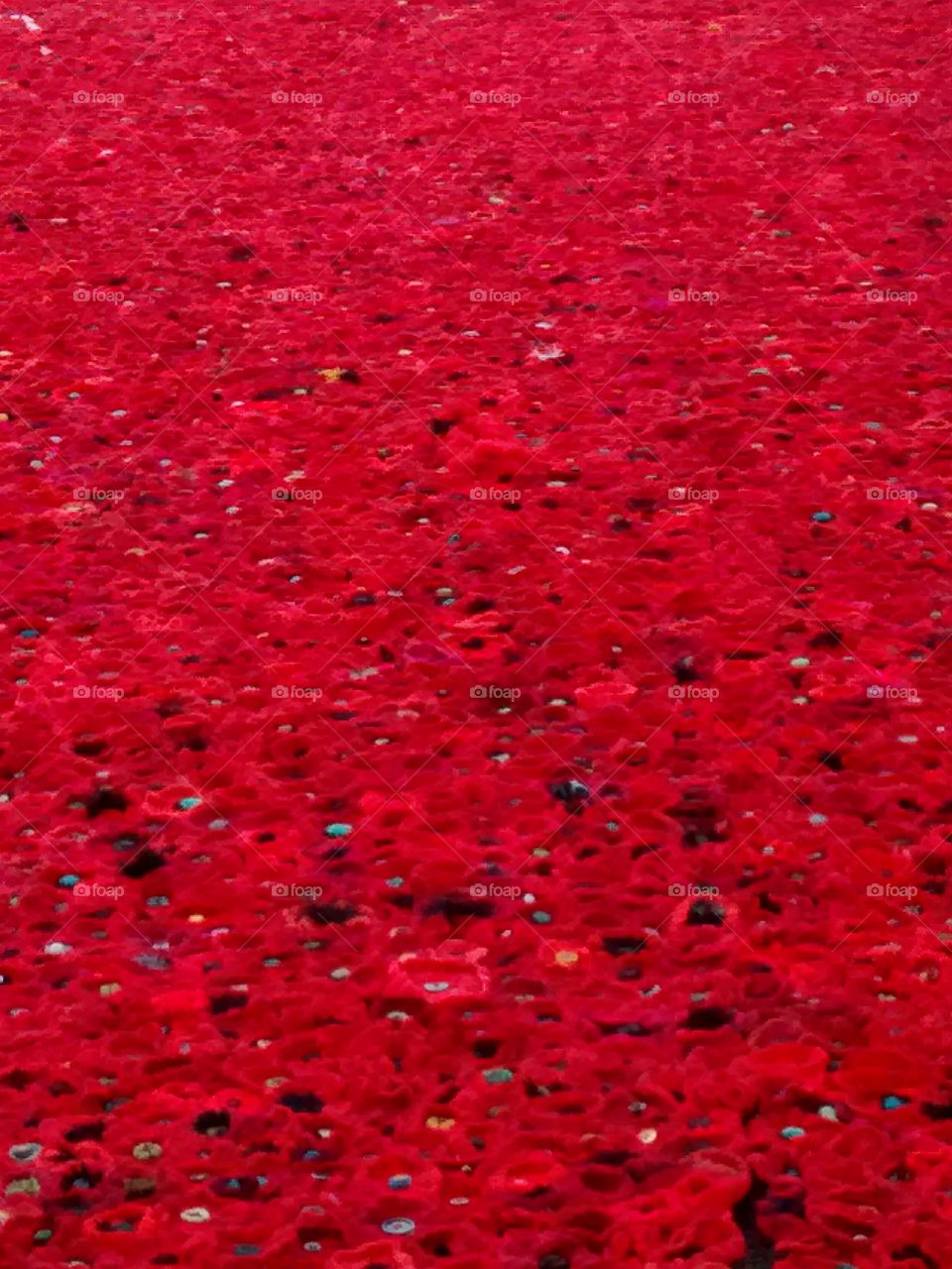 Red knitted poppies