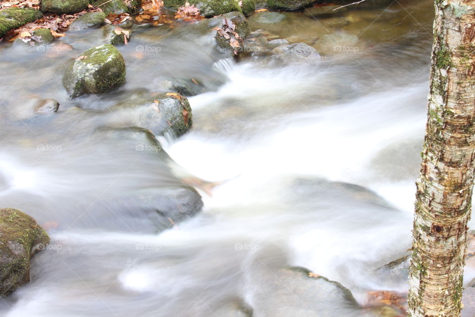 Tennessee mountain stream