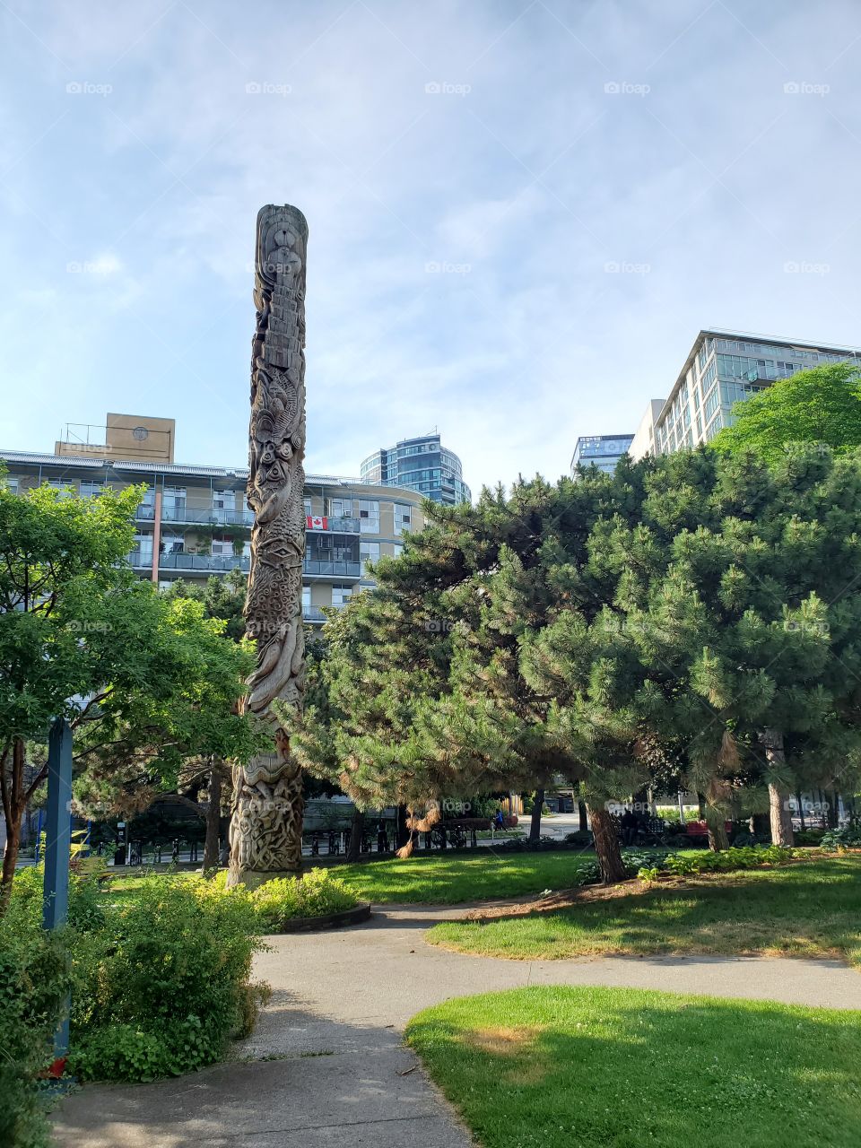 color of green in summer