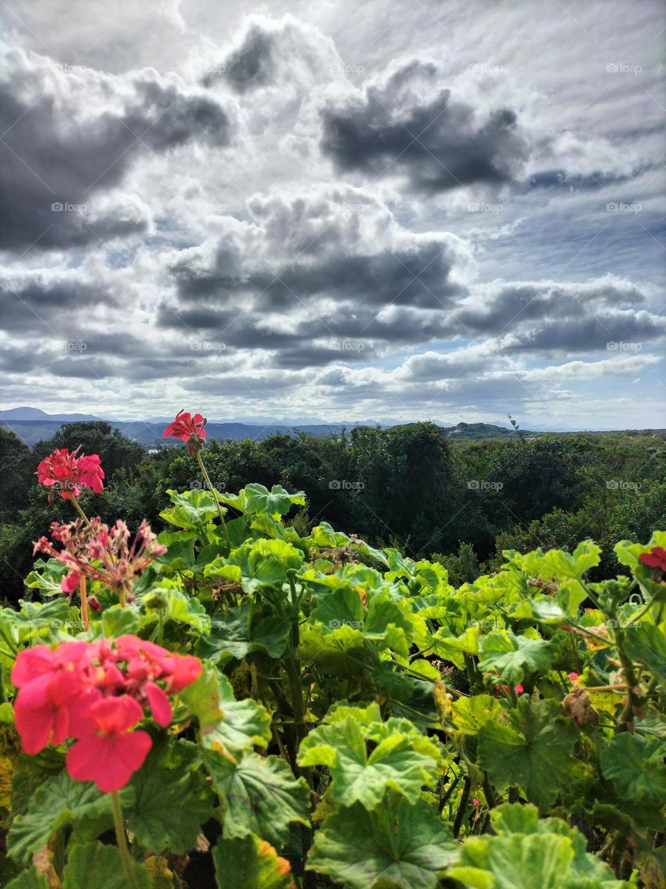 touch if clouds