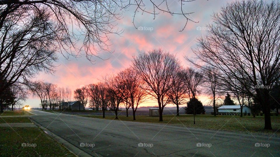 Tree, Landscape, Dawn, Road, Fall