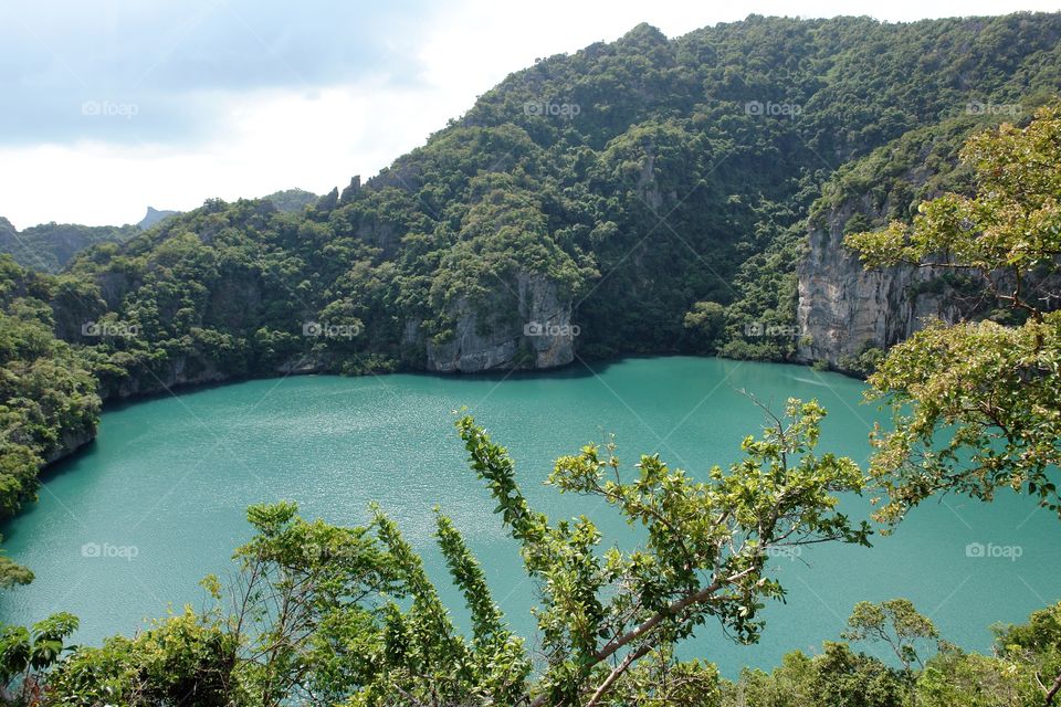 High angle view of a lake in forest