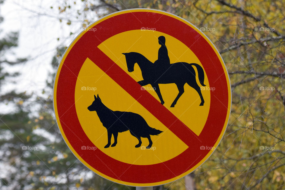 Traffic sign. No horses or dogs allowed.