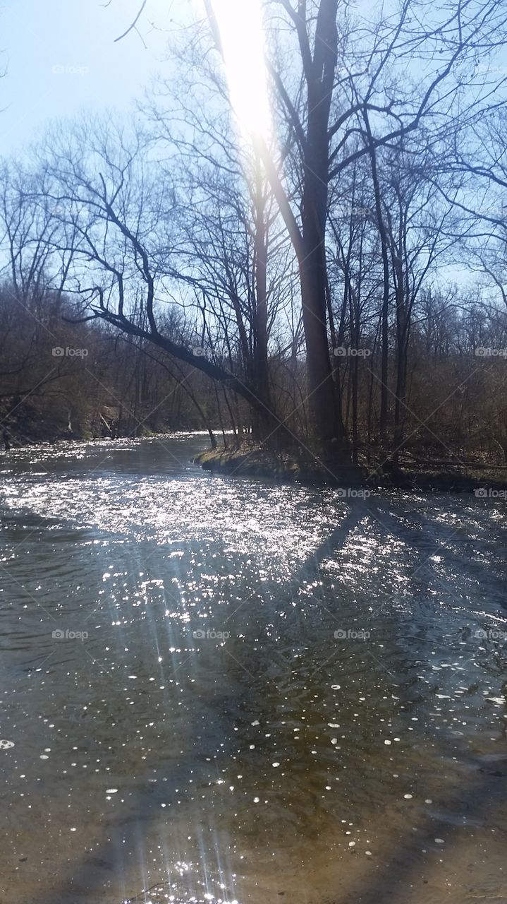 sunshine on the river