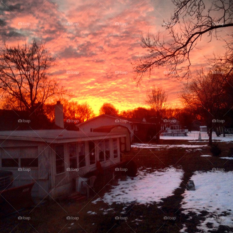 Brilliant backyard winter sunrise
