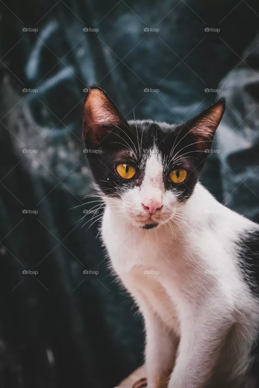 mirada matadora