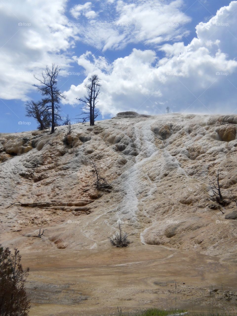 Mammoth Hot Springs, Yellowstone National Park, North WY