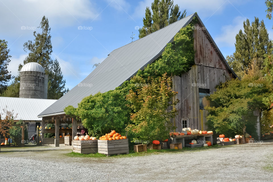 Rustic market in Autumn