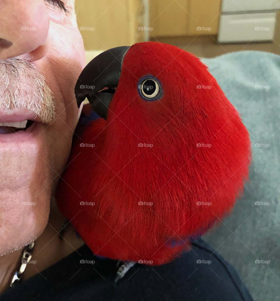 Man sharing a hug with his Parrot.